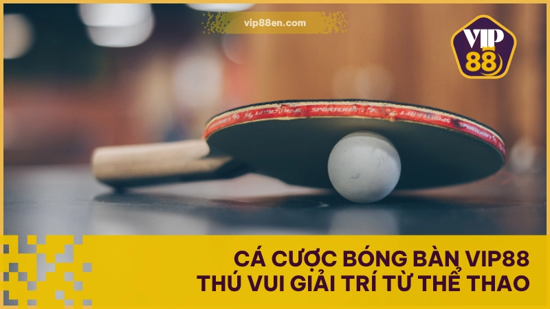 Cá Cược Bóng Bàn VIP88 - Thú Vui Giải Trí Từ Thể Thao 1 Cá Cược Bóng Bàn VIP88 - Thú Vui Giải Trí Từ Thể Thao