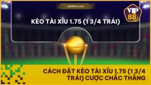 Cách Đặt Kèo Tài Xỉu 1.75 (1 3/4 Trái) Cược Chắc Thắng