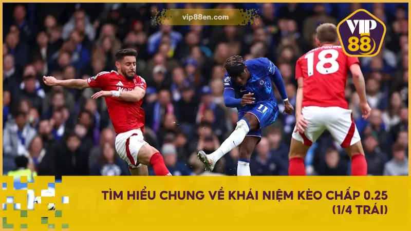 Kèo Chấp 0.25 (1/4 Trái) Có Thật Sự An Toàn Với Tân Binh 2 Kèo chấp 0.25 (1/4 trái) là lựa chọn ít rủi ro cho tân thủ