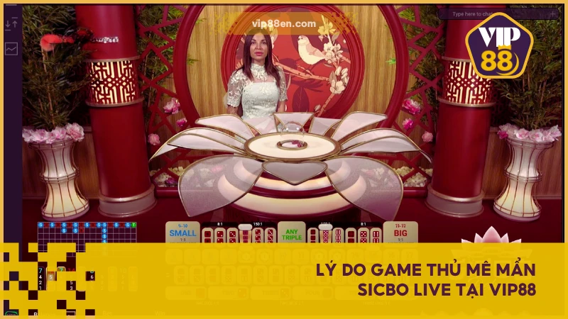 Lý do game thủ mê mẩn Sicbo Live tại VIP88