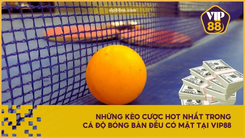 Cá Cược Bóng Bàn VIP88 - Thú Vui Giải Trí Từ Thể Thao 5 Những kèo cược hot nhất trong cá độ bóng bàn đều có mặt tại VIP88