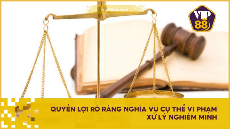 Điều Khoản Sử Dụng VIP88 Dành Cho Người Chơi Mới Nhất 3 Quyền lợi rõ ràng nghĩa vụ cụ thể vi phạm xử lý nghiêm minh