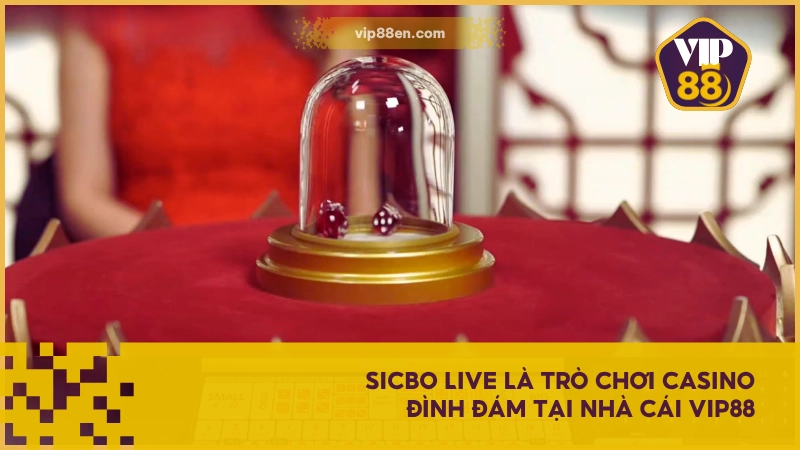 Sicbo Live là trò chơi casino đình đám tại nhà cái VIP88