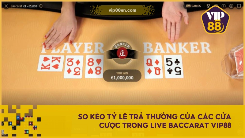 Baccarat Live VIP88 - Xu hướng Game Bài Casino hiện đại 4 So kèo tỷ lệ trả thưởng của các cửa cược trong Live Baccarat VIP88