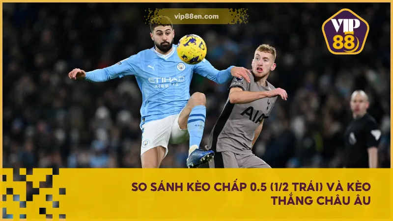 Kèo Chấp 0.5 (1/2 Trái) & Những Điều Quan Trọng Cần Lưu Ý 2 So sánh kèo chấp 0.5 (1/2 trái) và kèo thắng Châu Âu để có lựa chọn chuẩn hơn