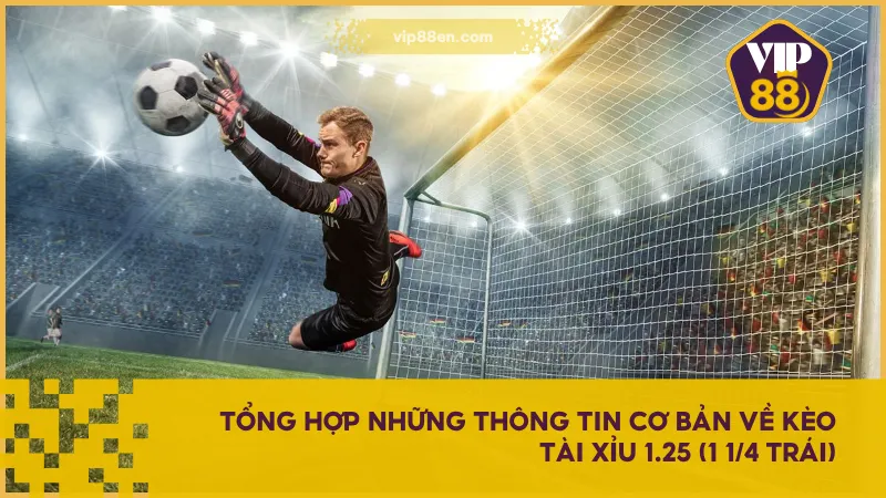 Kèo tài xỉu 1.25 (1 1/4 trái) thường áp dụng cho các trận đấu kín kẽ