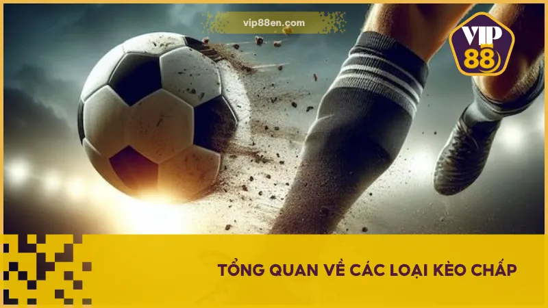 Tăng Tỷ Lệ Thắng Kèo Chấp Với Loạt Mẹo Ít Người Biết 3 Hãy phân tích và hiểu về từng loại kèo cược chấp