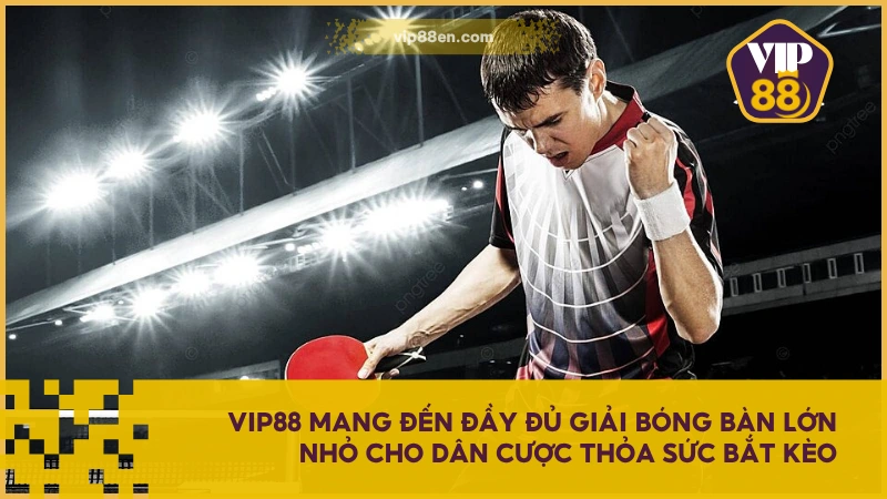 Cá Cược Bóng Bàn VIP88 - Thú Vui Giải Trí Từ Thể Thao 3 VIP88 mang đến đầy đủ giải bóng bàn lớn nhỏ cho dân cược thỏa sức bắt kèo